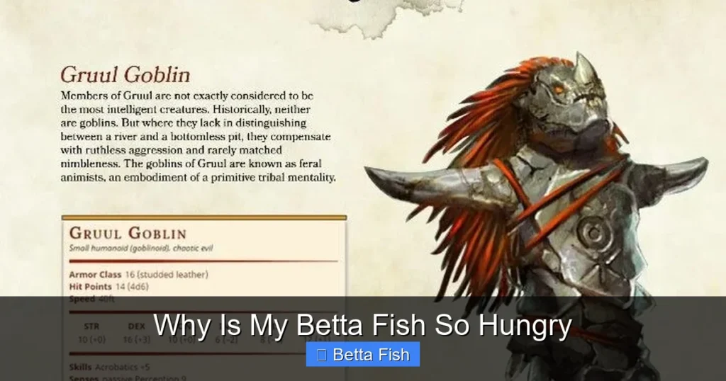 Why Is My Betta Fish So Hungry