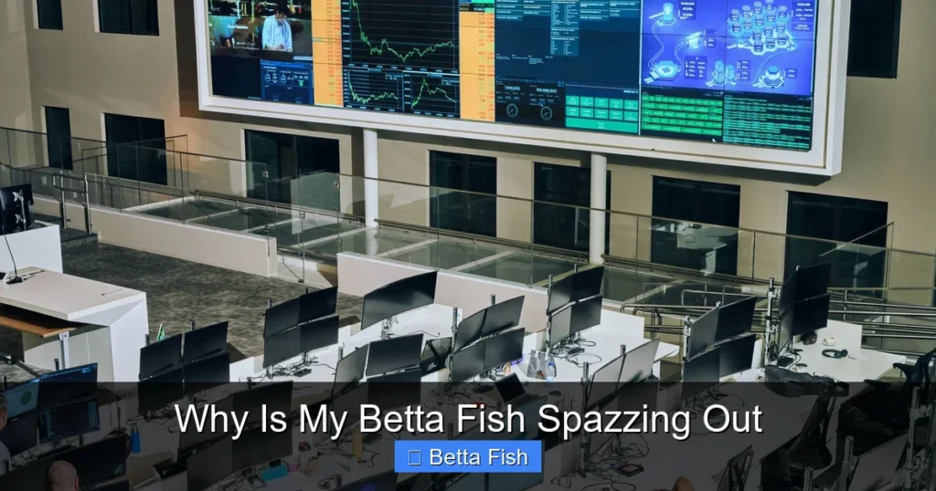 Why Is My Betta Fish Spazzing Out