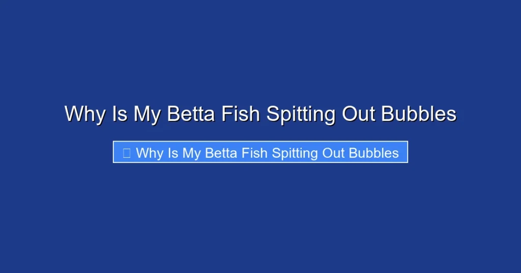 Why Is My Betta Fish Spitting Out Bubbles