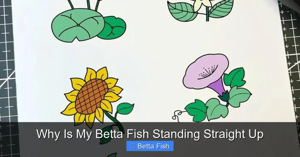 Why Is My Betta Fish Standing Straight Up