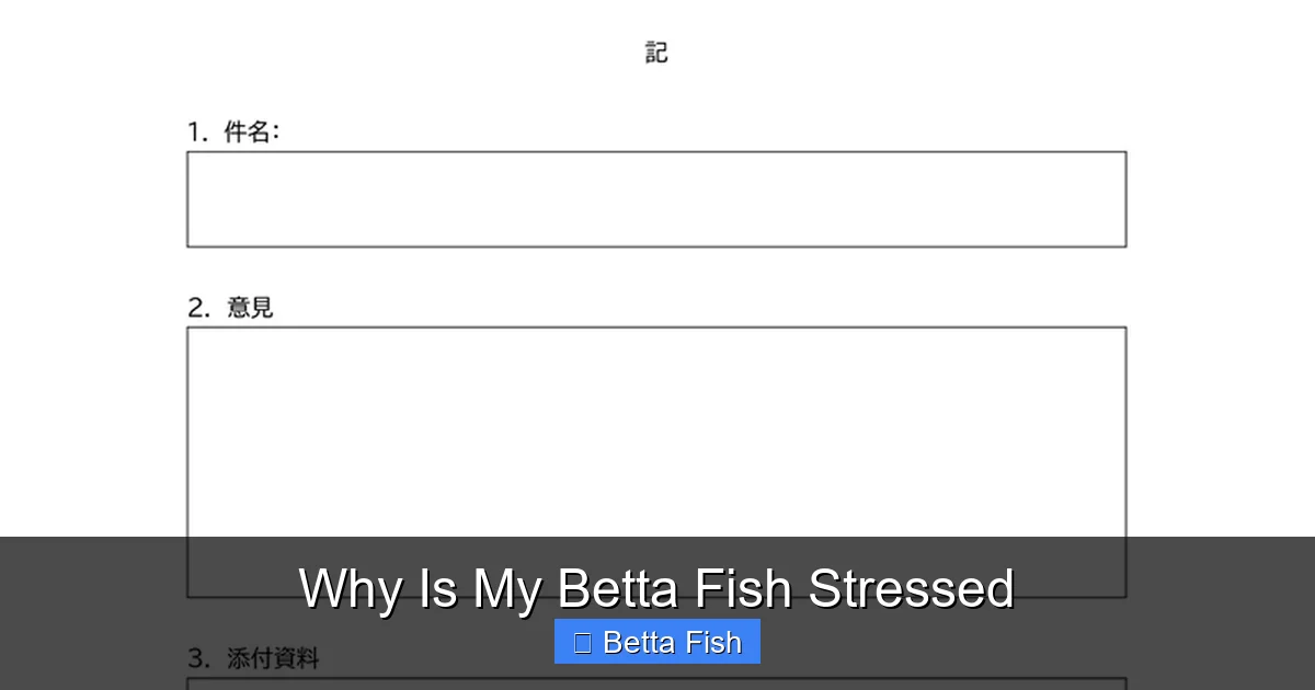 Why Is My Betta Fish Stressed
