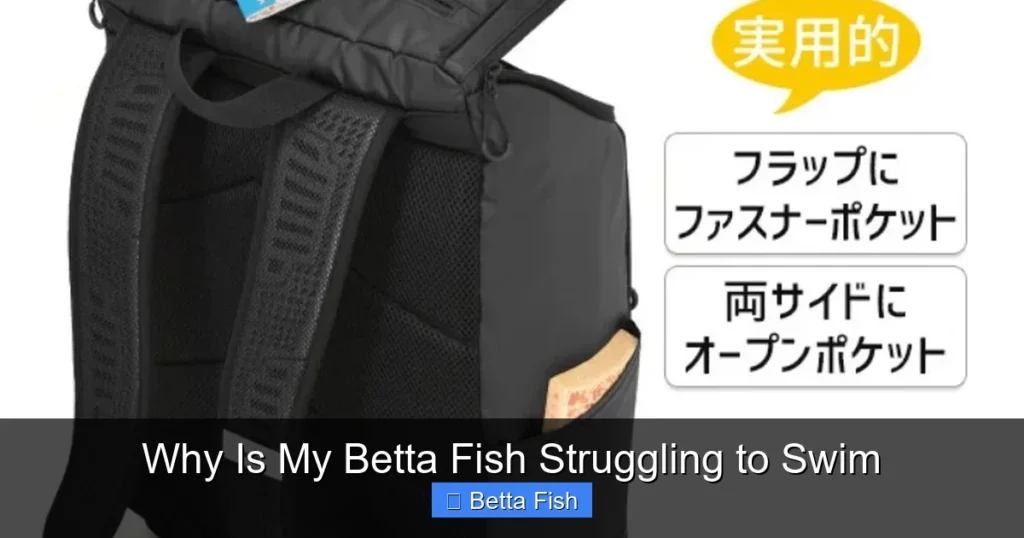 Why Is My Betta Fish Struggling to Swim