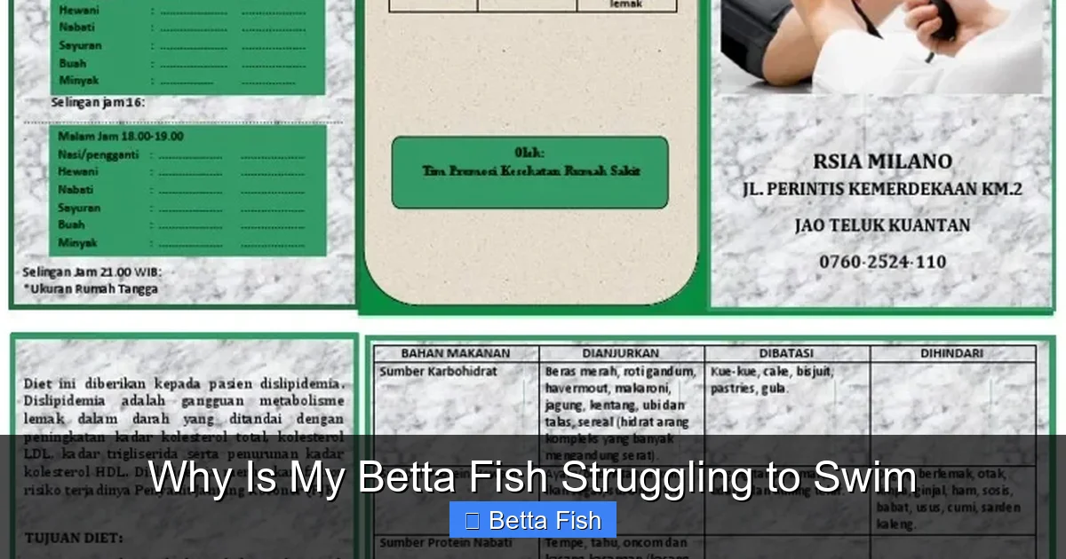 Why Is My Betta Fish Struggling to Swim