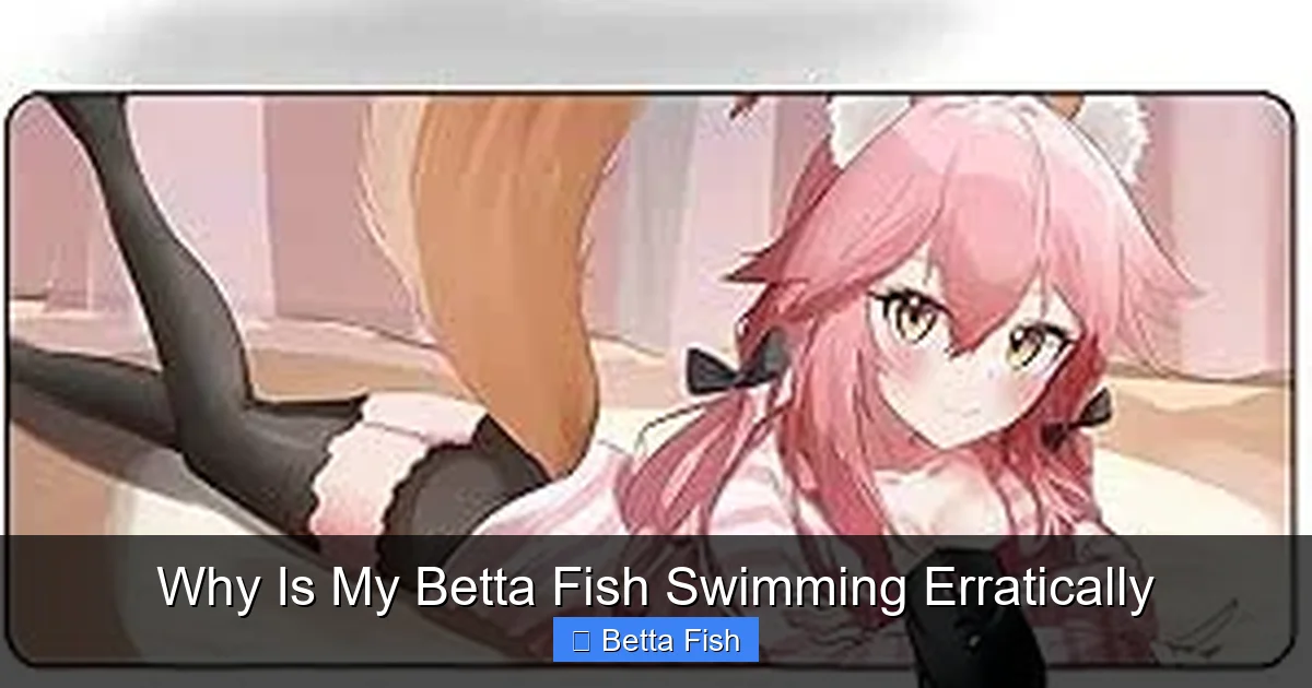 Why Is My Betta Fish Swimming Erratically
