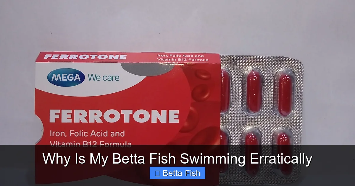 Why Is My Betta Fish Swimming Erratically