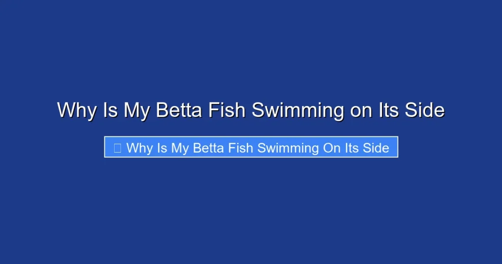 Why Is My Betta Fish Swimming on Its Side