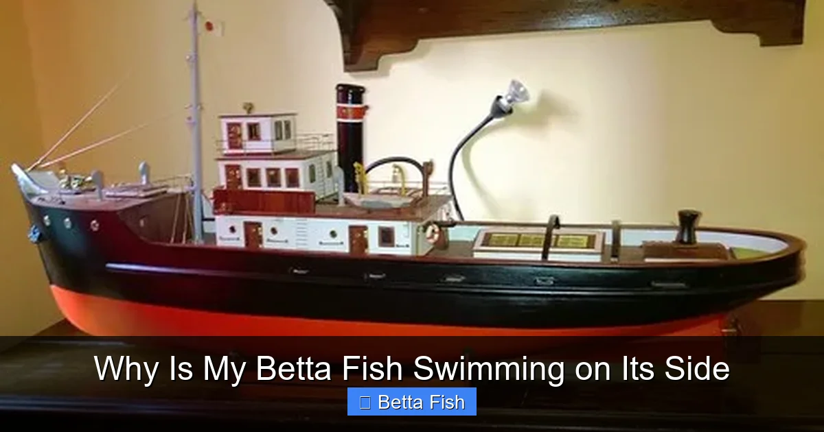Why Is My Betta Fish Swimming on Its Side