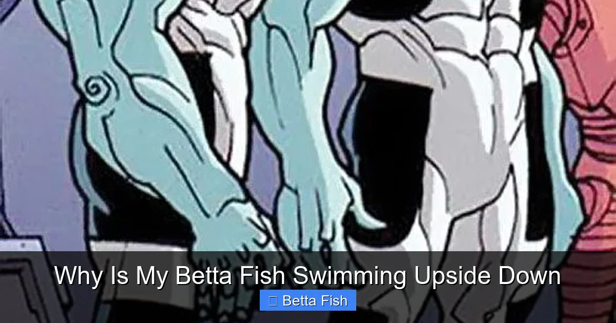 Why Is My Betta Fish Swimming Upside Down