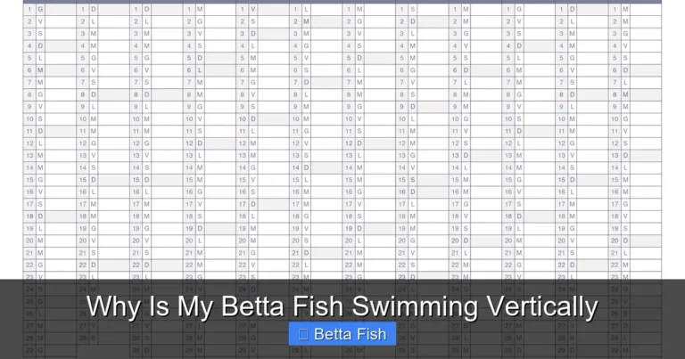 Why Is My Betta Fish Swimming Vertically