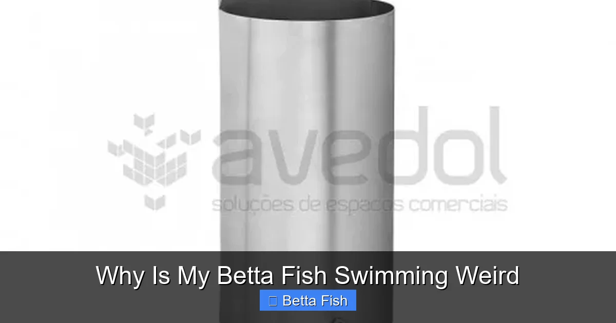 Why Is My Betta Fish Swimming Weird