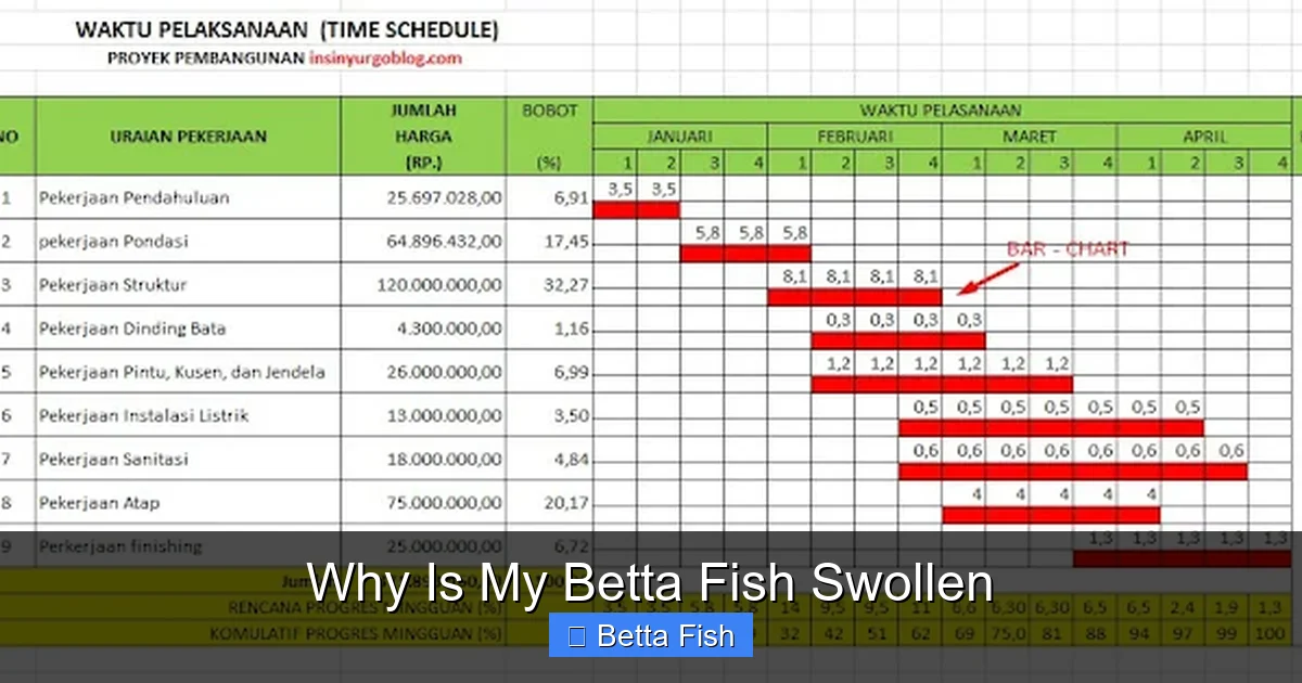 Why Is My Betta Fish Swollen