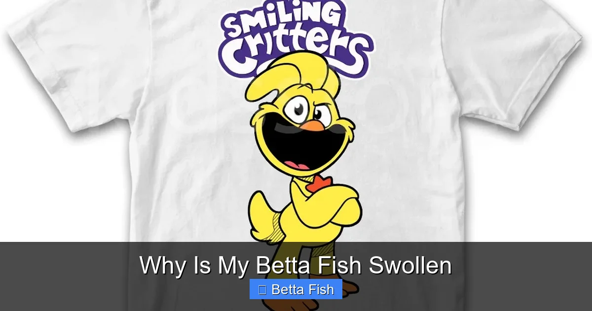 Why Is My Betta Fish Swollen
