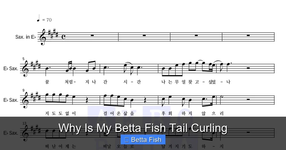 Why Is My Betta Fish Tail Curling