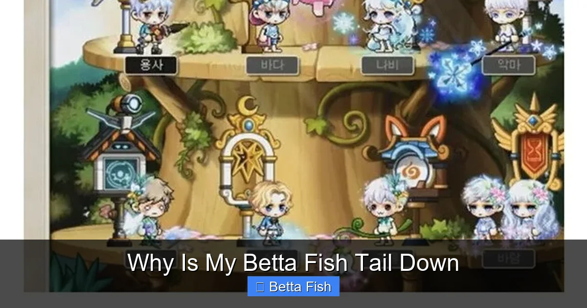Why Is My Betta Fish Tail Down