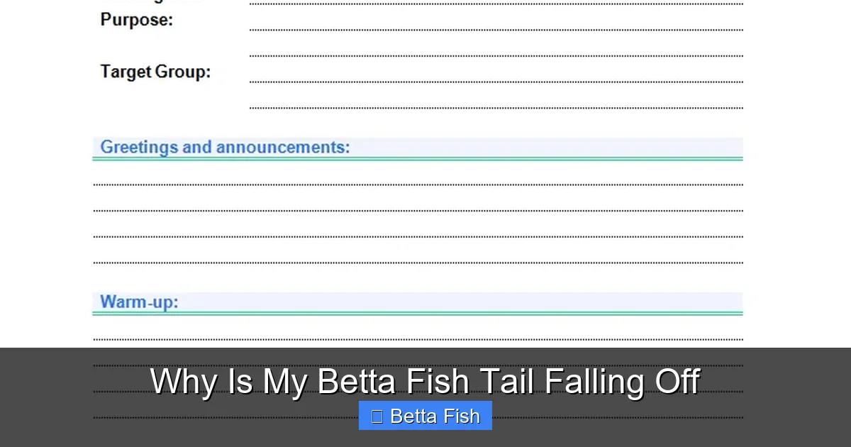 Why Is My Betta Fish Tail Falling Off