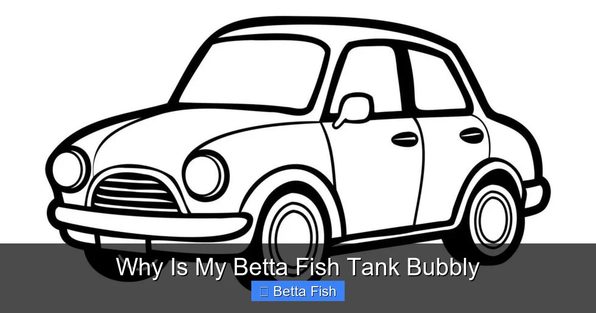 Why Is My Betta Fish Tank Bubbly
