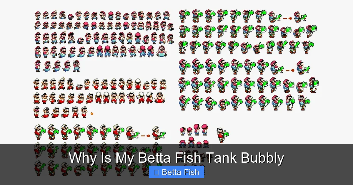 Why Is My Betta Fish Tank Bubbly