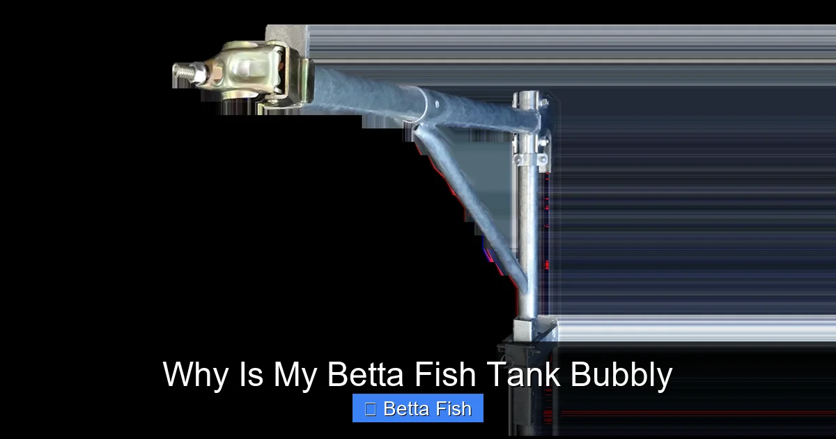 Why Is My Betta Fish Tank Bubbly