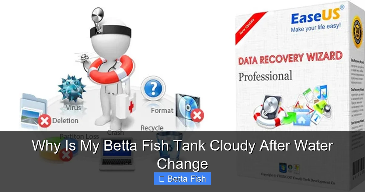 Why Is My Betta Fish Tank Cloudy After Water Change