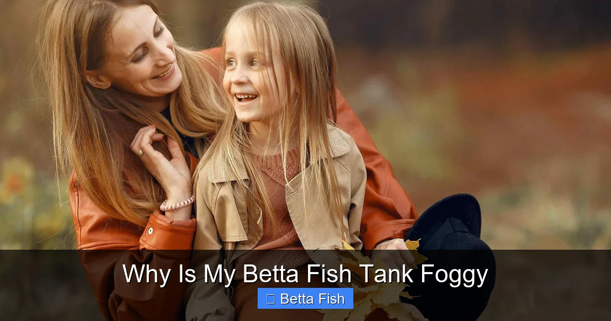 Why Is My Betta Fish Tank Foggy