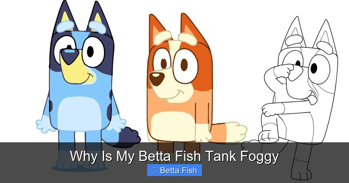 Why Is My Betta Fish Tank Foggy