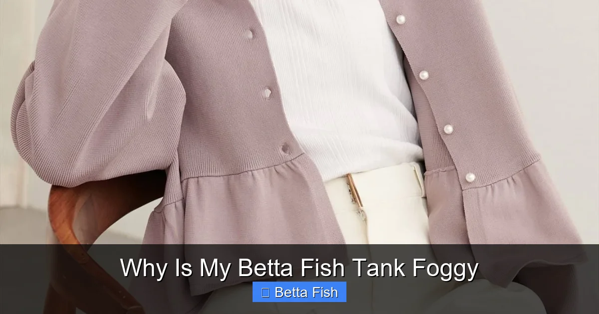 Why Is My Betta Fish Tank Foggy