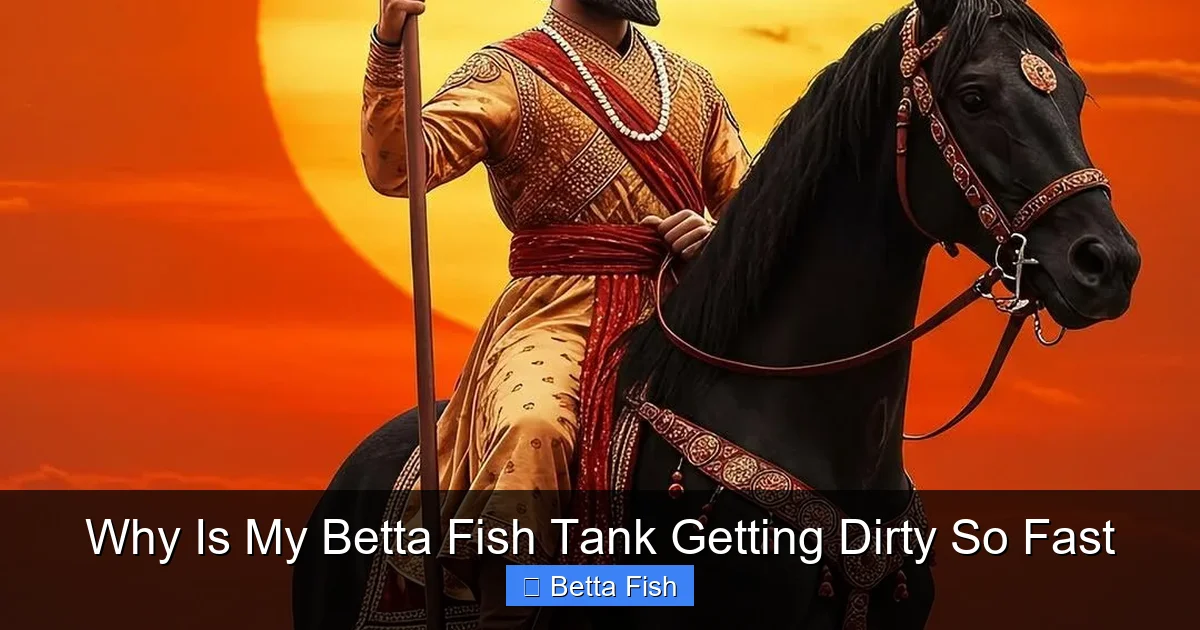 Why Is My Betta Fish Tank Getting Dirty So Fast