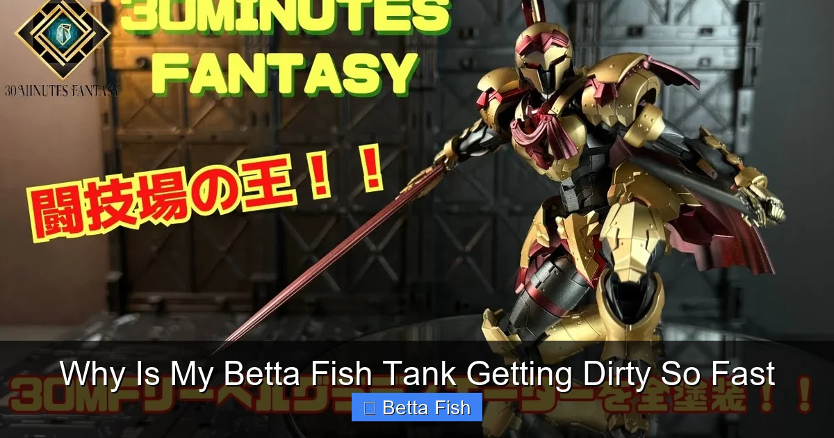 Why Is My Betta Fish Tank Getting Dirty So Fast