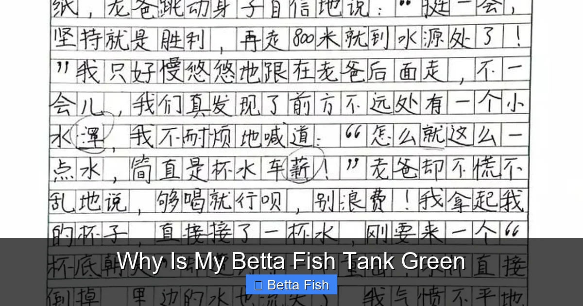Why Is My Betta Fish Tank Green