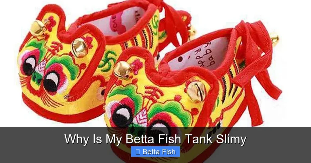 Why Is My Betta Fish Tank Slimy