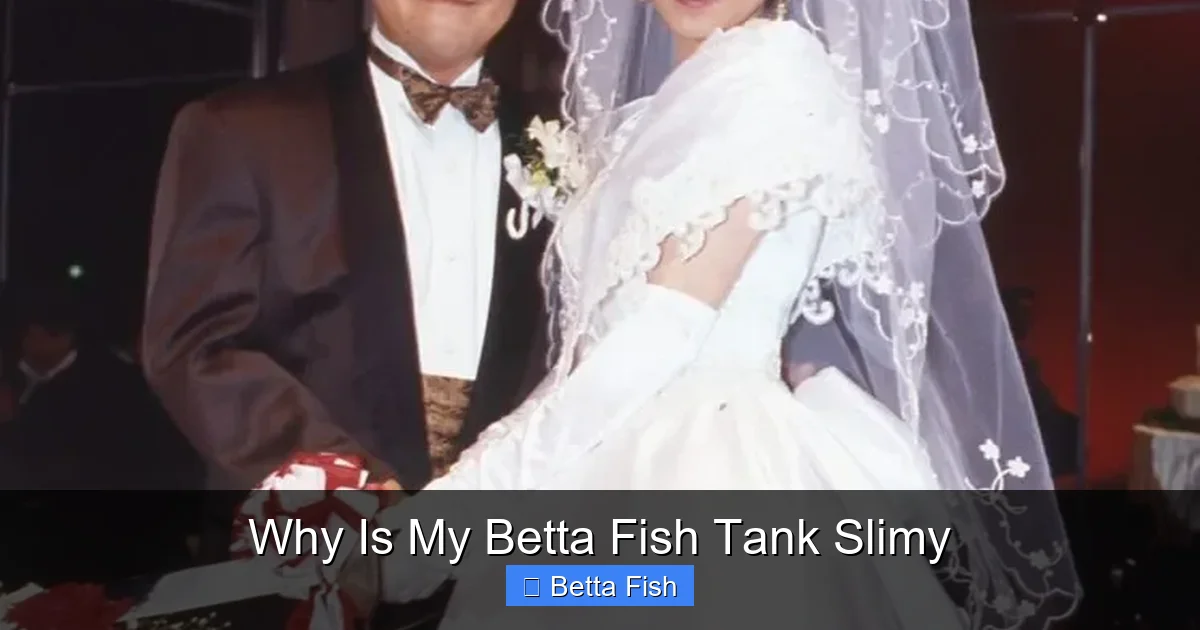 Why Is My Betta Fish Tank Slimy