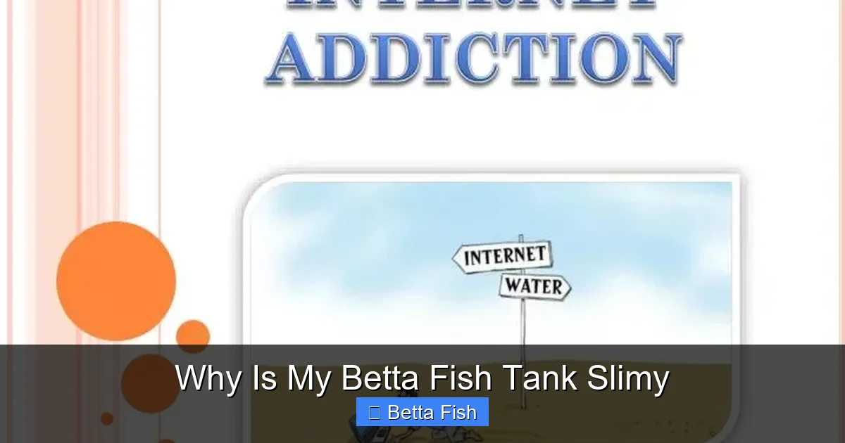 Why Is My Betta Fish Tank Slimy