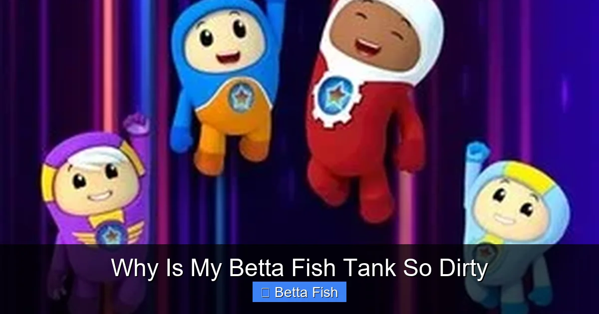 Why Is My Betta Fish Tank So Dirty