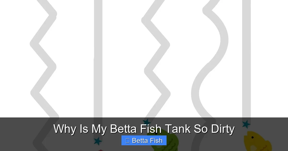Why Is My Betta Fish Tank So Dirty