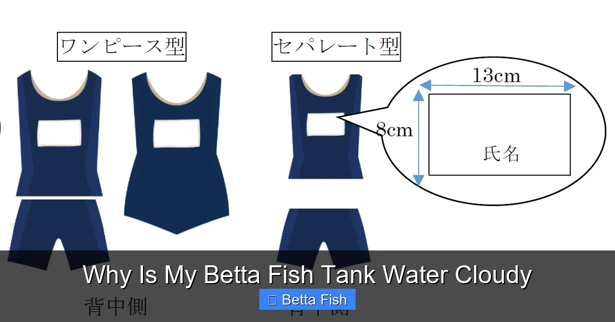 Why Is My Betta Fish Tank Water Cloudy