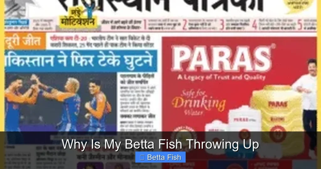 Why Is My Betta Fish Throwing Up