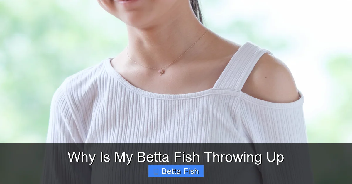 Why Is My Betta Fish Throwing Up