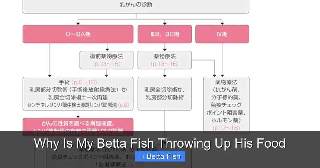 Why Is My Betta Fish Throwing Up His Food