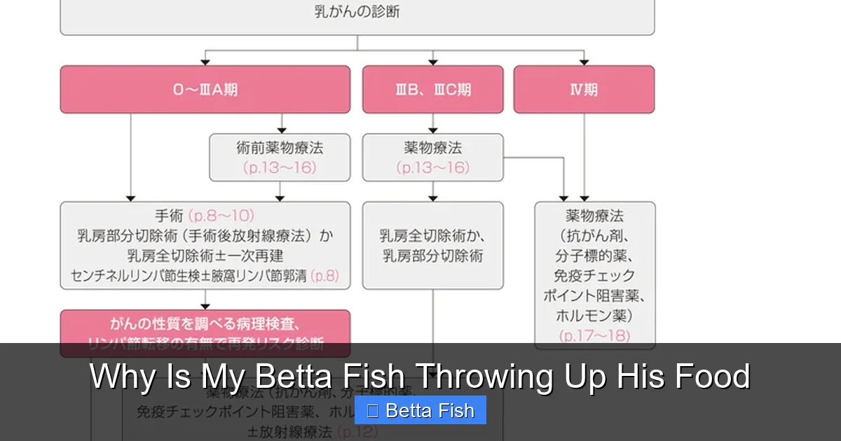 Why Is My Betta Fish Throwing Up His Food