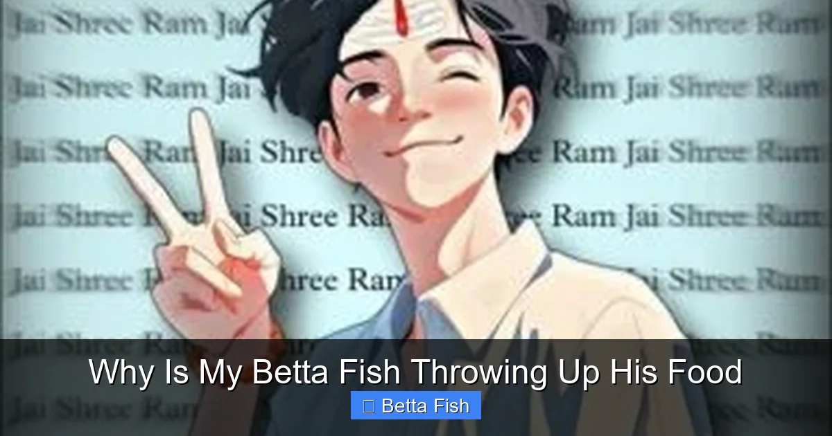 Why Is My Betta Fish Throwing Up His Food