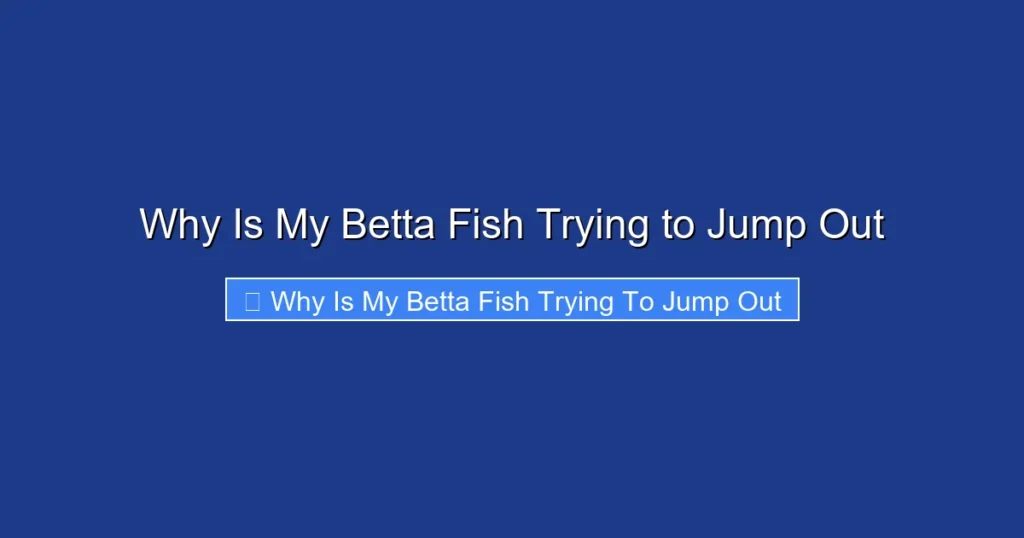 Why Is My Betta Fish Trying to Jump Out