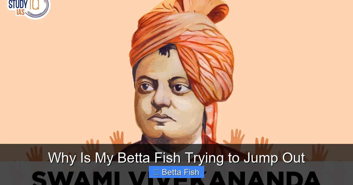 Why Is My Betta Fish Trying to Jump Out