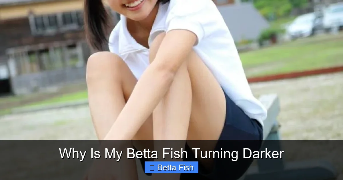 Why Is My Betta Fish Turning Darker