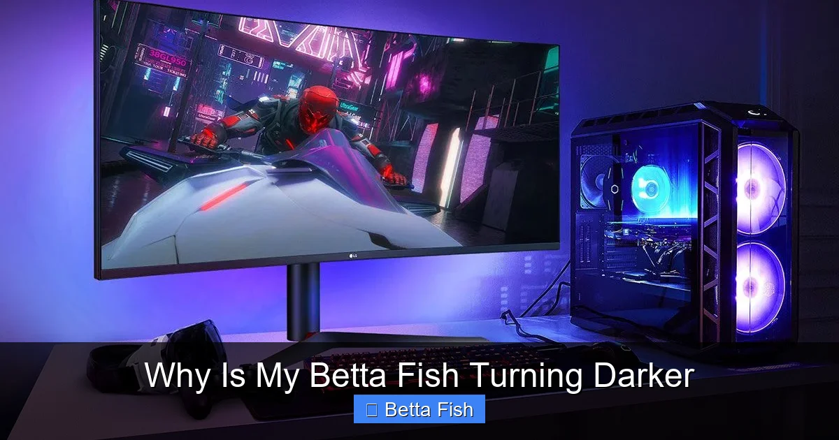 Why Is My Betta Fish Turning Darker