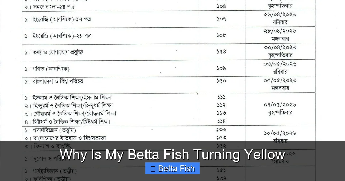 Why Is My Betta Fish Turning Yellow