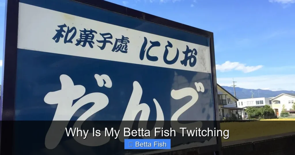 Why Is My Betta Fish Twitching