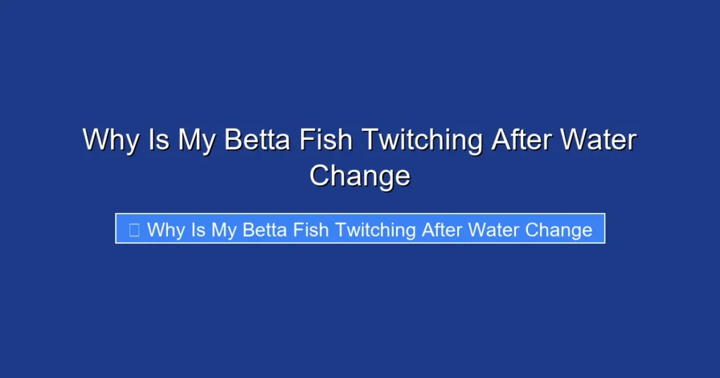 Why Is My Betta Fish Twitching After Water Change