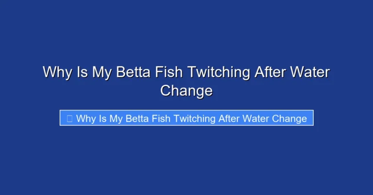 Why Is My Betta Fish Twitching After Water Change