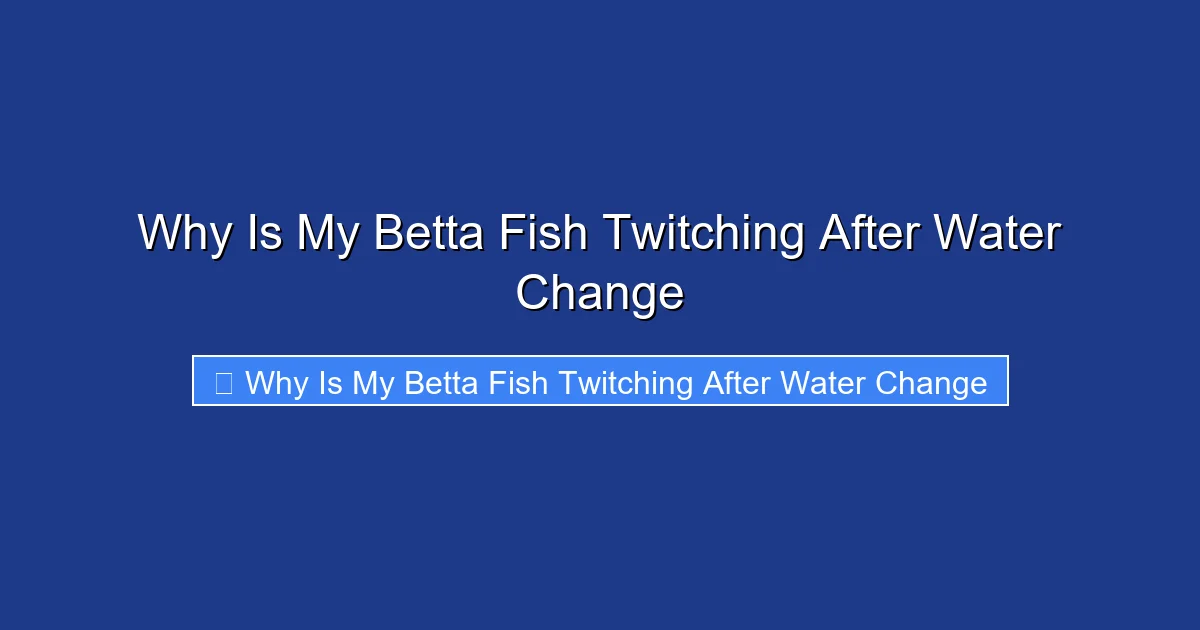 Why Is My Betta Fish Twitching After Water Change