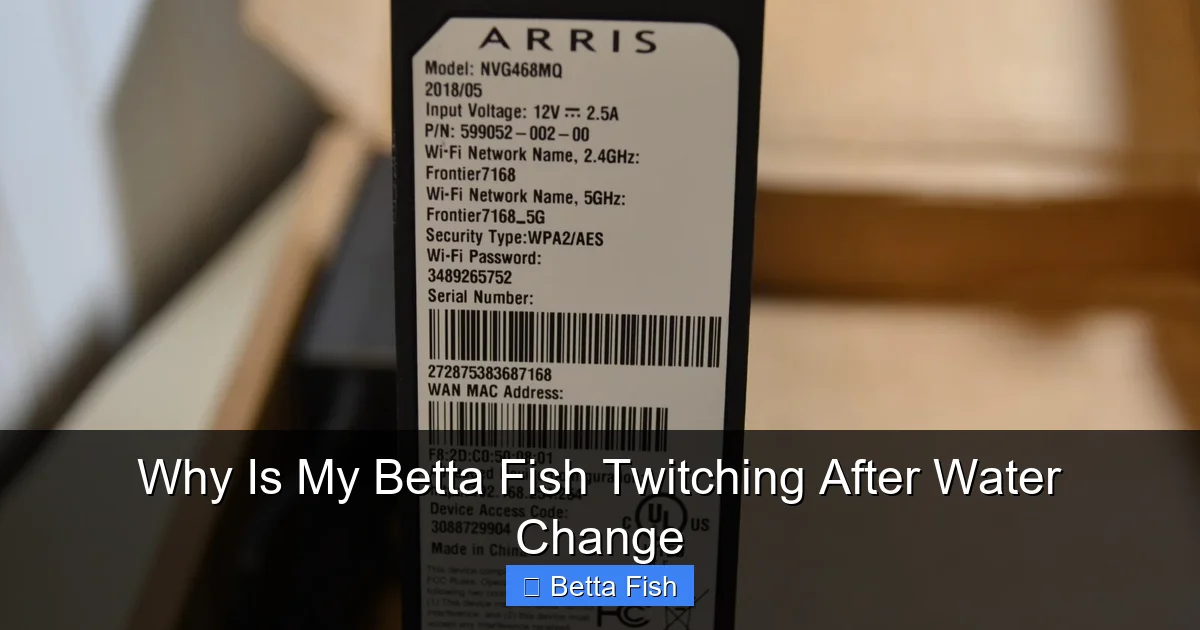 Why Is My Betta Fish Twitching After Water Change